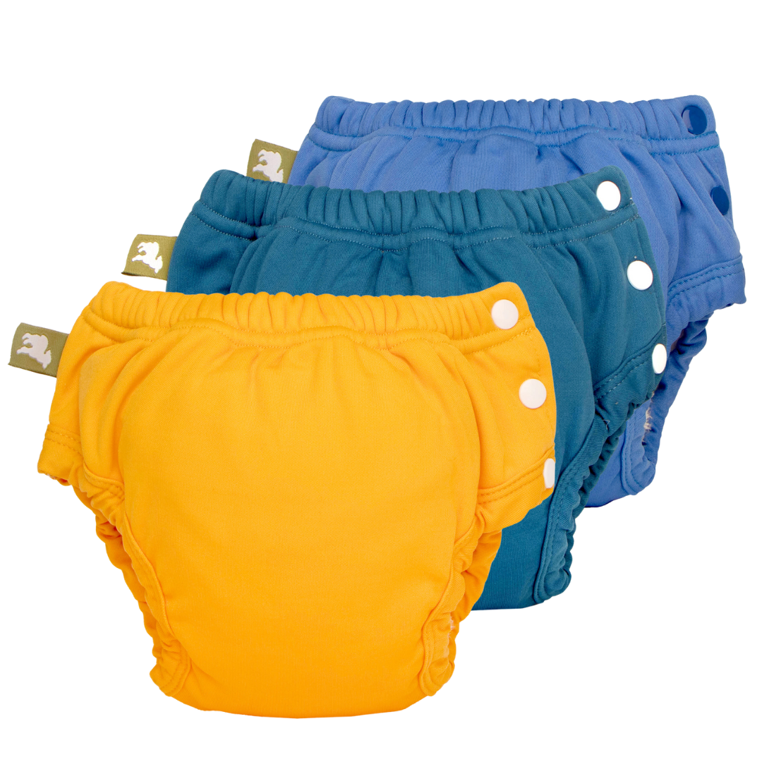Reusable Potty Training Pants Pack – LittleLamb