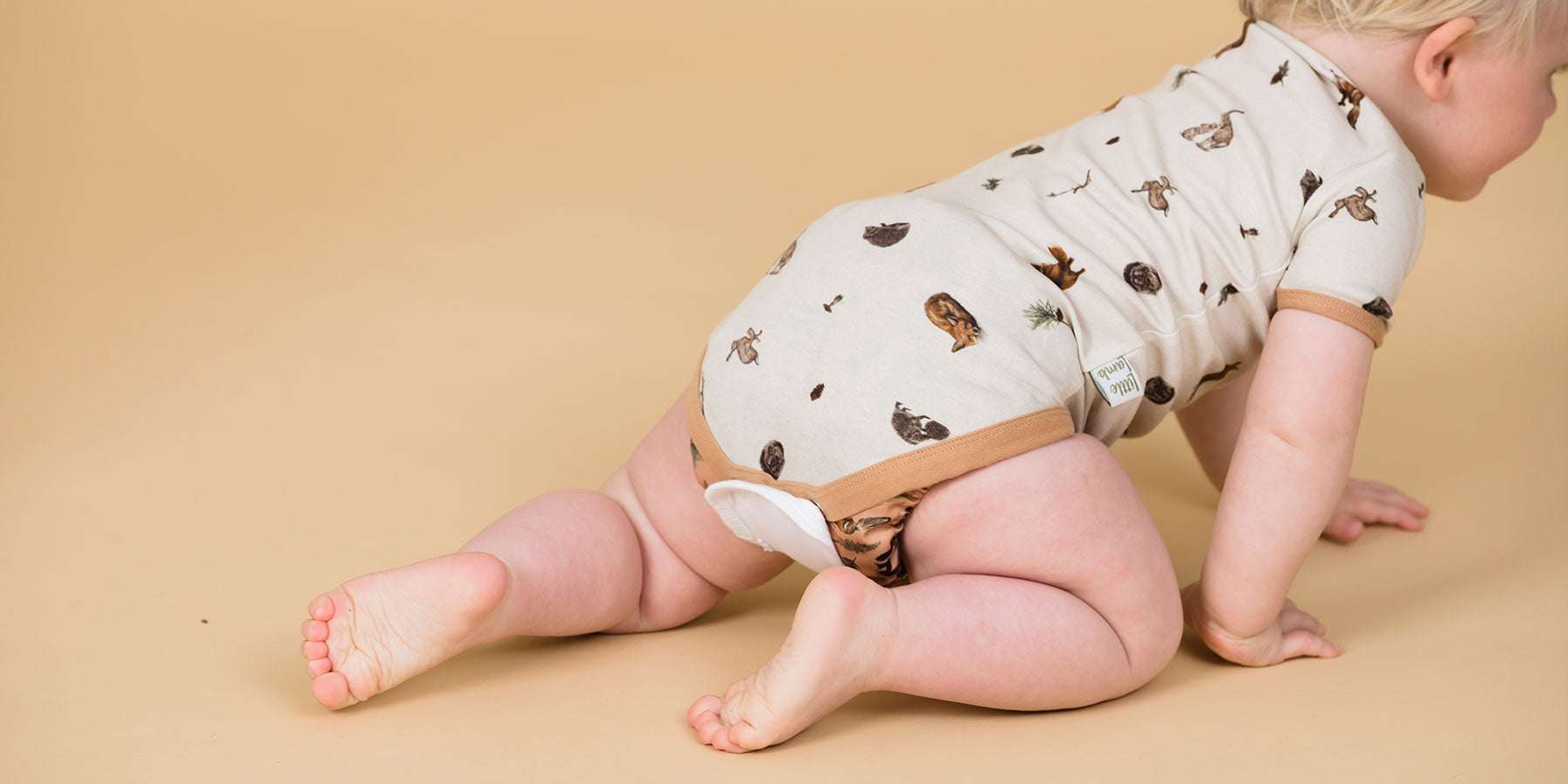 What are vest extenders used for? LittleLamb