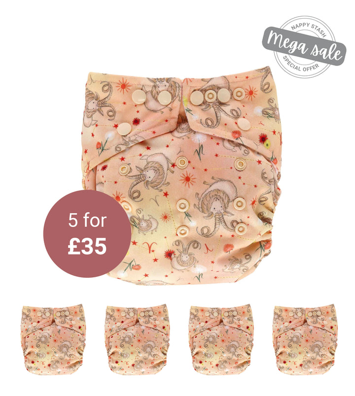 5 Pack Aries Onesize Pocket Nappy