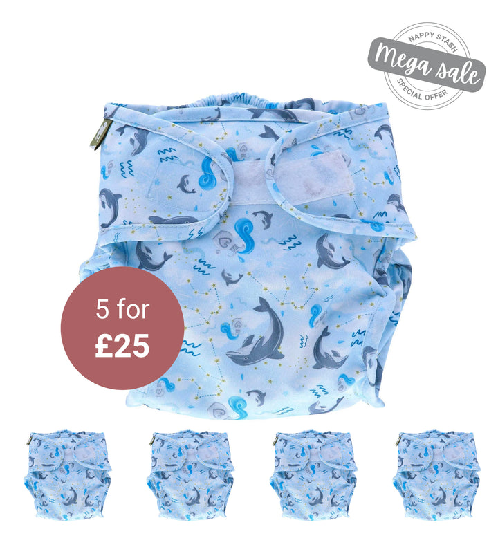 5 Pack Aquarius Wrap