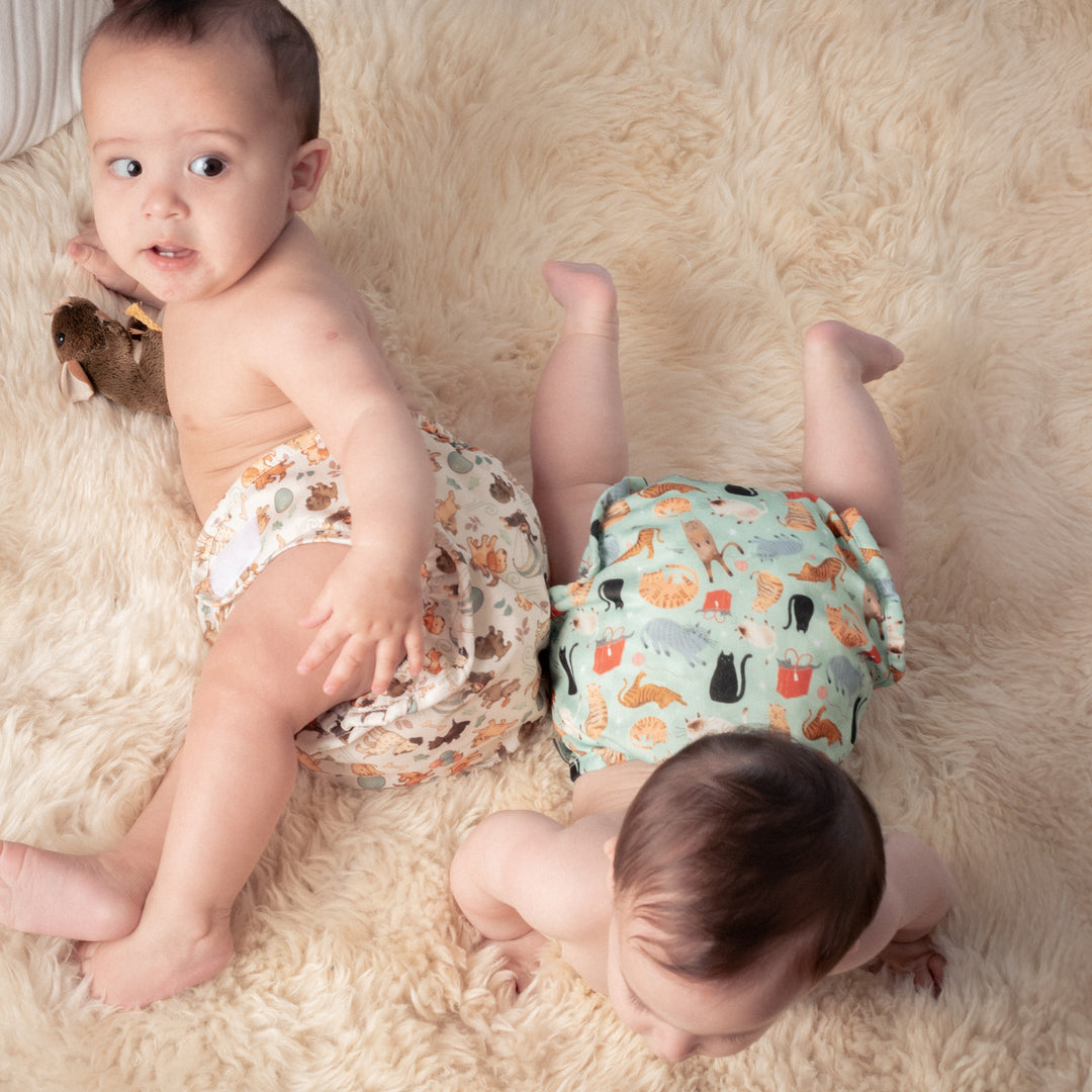 #color_furry-friends