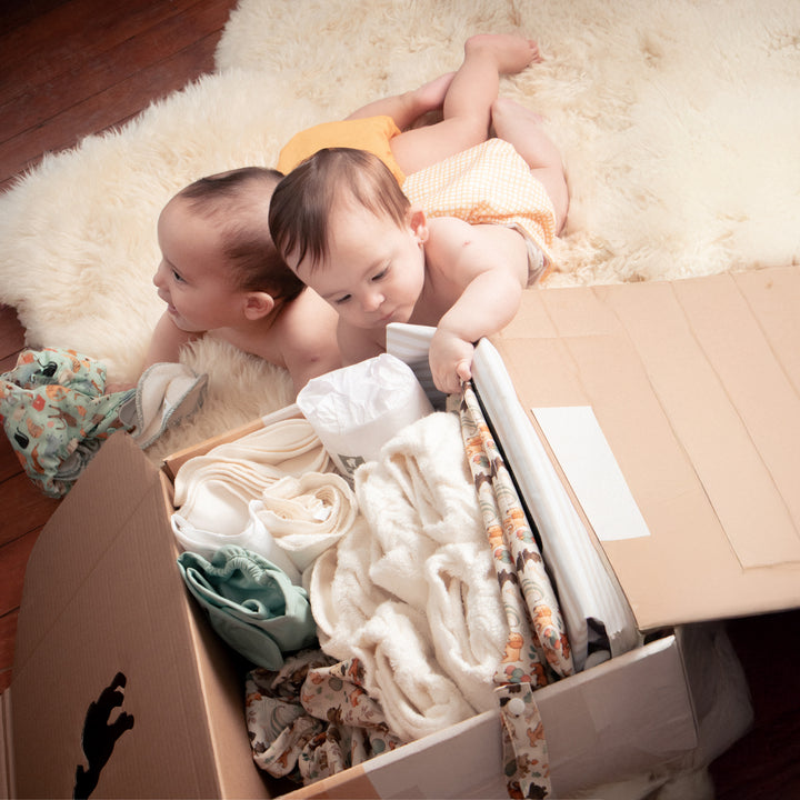 #color_furry-friends