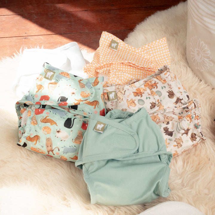 #color_furry-friends