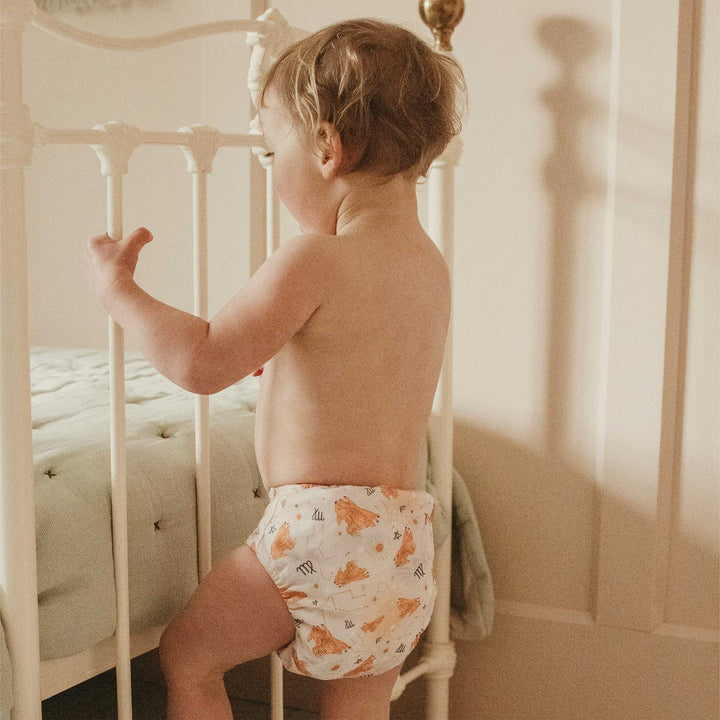 Virgo Reusable Nappy Starter Kit